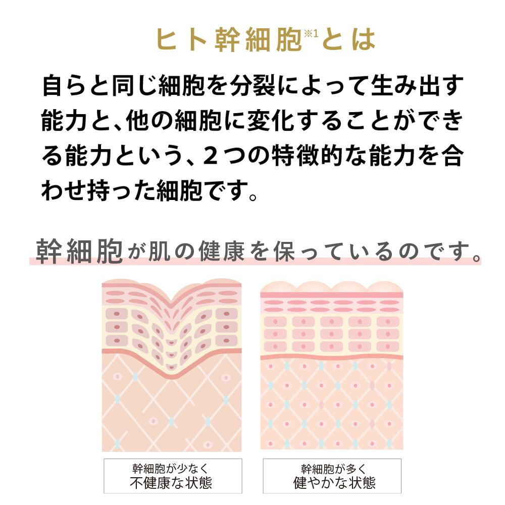 【ジョワセリュール】ヒト幹細胞培養エキス配合 エマルジョン［ 京都 美容 ブランド 美肌を叶える 美容 乳液 マルチ成分配合 エイジングケア シワ・タルミ・シミ対策 人気 おすすめ 化粧水 スキンケア 高保湿 基礎化粧品 化粧品 お取り寄せ 通販 送料無料 ふるさと納税 ］