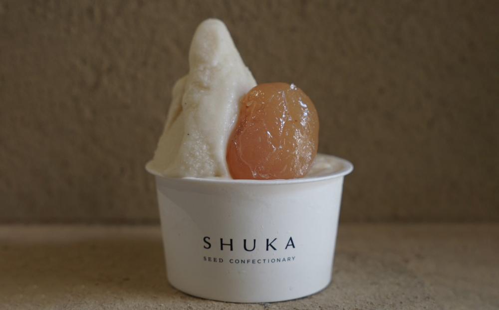 【SHUKA/種菓】種のジェラート18個入(6種)［ 京都 種を愉しむ スイーツ 人気 おすすめ お菓子 菓子 定番 お取り寄せ 通販 送料無料 ふるさと納税 ］