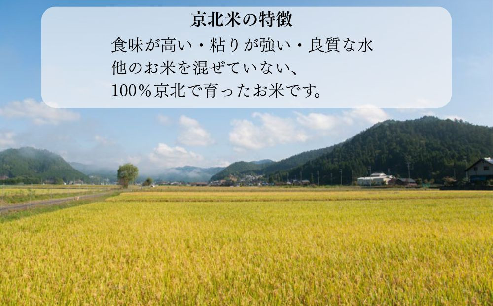 【50セット限定・新米先行受付】令和7年産 コシヒカリ 5kg 京都・京北米 精米 12～1月発送【京北水稲担い手協議会】［ 京都 京北産 コシヒカリ 先行予約 米 お米 人気 おすすめ こしひかり お取り寄せ 通販 送料無料 ふるさと納税 ］