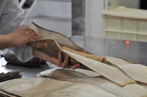 【京菓匠 笹屋伊織】幻のどら焼2棹セット｜ささやいおり　ササヤイオリ　和菓子　老舗