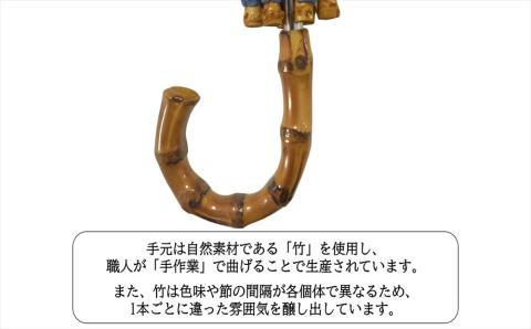 【ブロンズ】西陣織傘(チェックペイズリー柄)