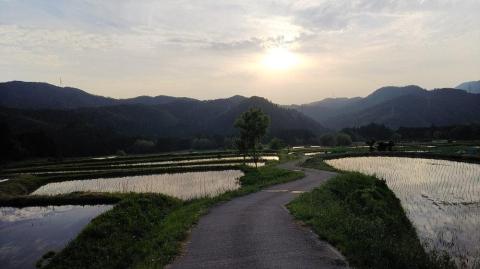 【吉田農園】京都越畑産サペラヴィ赤ワイン