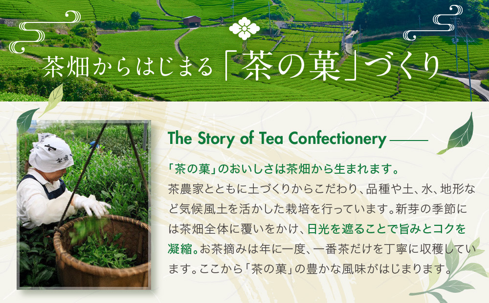 ◆2026年2月発送◆京都マラソンオリジナル焼印！お濃茶ラングドシャ「茶の菓」16枚入【マールブランシュ】｜北山 人気 スイーツブランド 有名 銘菓 スイーツ［ ラングドシャ お茶×ホワイトチョコ おいしい 人気 おすすめ お菓子 洋菓子 お取り寄せ 通販 送料無料 ふるさと納税 ］