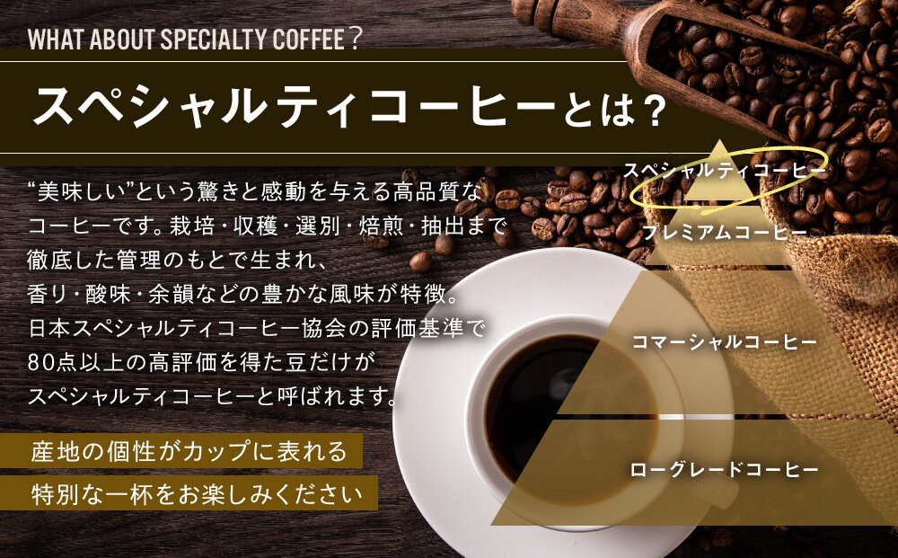 【AMANO COFFEE ROASTERS】スペシャリティコーヒー 上賀茂ブレンド100g 今宮ブレンド100g＜豆タイプ＞｜京都 コーヒー 人気ブランド［ 京都 アマノコーヒー スペシャルティコーヒー豆専門店 ブレンドコーヒー 人気 おすすめ ギフト お取り寄せ 通販 送料無料 ふるさと納税 ]