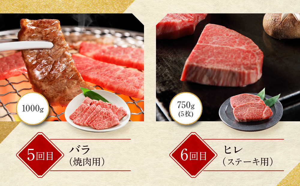 ＜定期便６回＞【京都モリタ屋】京都肉食べ比べ(1)［ 明治2年創業 京都初 牛肉専門店 有名店 高品質 和牛 切り落とし 人気 おすすめ グルメ お肉 牛肉 ブランド牛 京都肉 お取り寄せ 通販 送料無料 ふるさと納税 ］  