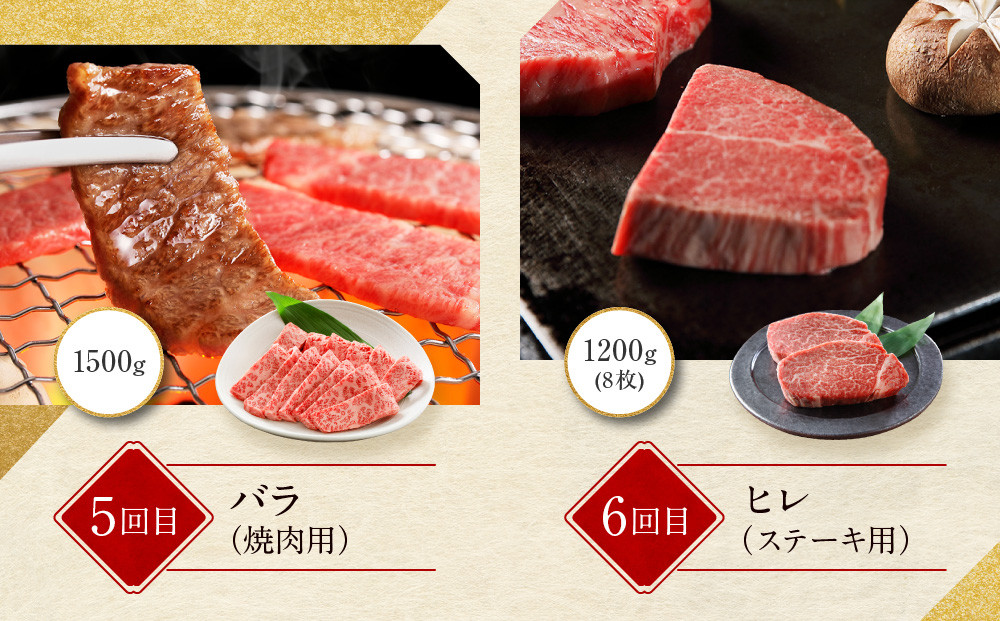 ＜定期便６回＞【京都モリタ屋】京都肉食べ比べ(2)［ 京都 老舗 肉 食べ比べ 人気 おすすめ グルメ おいしい 高級 ブランド ブランド牛 和牛 国産牛 料理 ステーキ すき焼き しゃぶしゃぶ 焼肉 ］