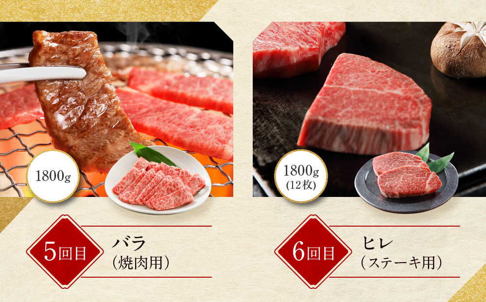 ＜定期便６回＞【京都モリタ屋】京都肉食べ比べ(3)［ 明治2年創業 京都初 牛肉専門店 有名店 高品質 和牛 切り落とし 人気 おすすめ グルメ お肉 牛肉 ブランド牛 京都肉 お取り寄せ 通販 送料無料 ふるさと納税 ］  