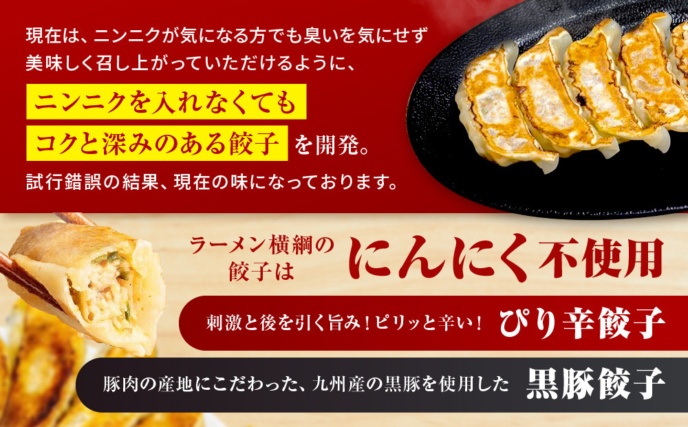 【ラーメン横綱】横綱の餃子はニンニク不使用! ぴり辛餃子＆黒豚餃子10パックセット(各5パック)［ 京都 ラーメン 有名店 餃子120個セット 黒豚＋ピリ辛 冷凍食品 大容量 おいしい 簡単 便利 人気 おすすめ 中華 中華料理 ぎょうざ 餃子 お取り寄せ 通販 送料無料 ふるさと納税 ］