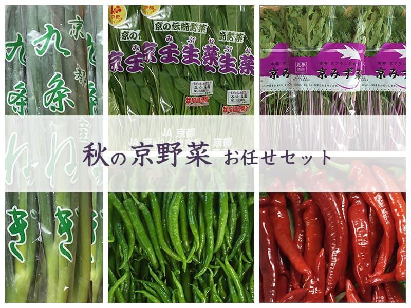【京野菜・果物 美方屋】創業70年 美方屋厳選！季節の京野菜お任せセット