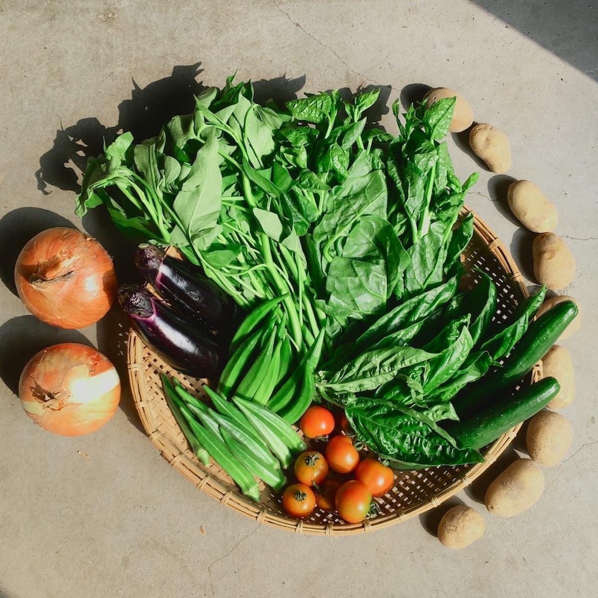 ◆全12回定期便◆【つくだ農園】《有機JAS認証 有機野菜10品入り》京都の棚田大原で心を込めて大切に露地栽培された大地の恵みたっぷりの有機野菜!［ 有機野菜 京都 野菜 有機栽培 定期便 セット 季節の野菜 おまかせ 詰め合わせ 産地直送 新鮮 ミシュラン 錦市場 人気 送料無料 おすすめ ふるさと納税 ］