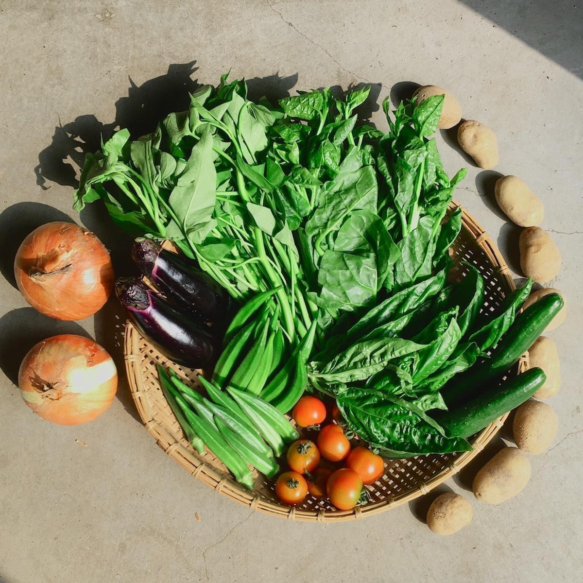 ◆全4回定期便◆【つくだ農園】《有機JAS認証 有機野菜10品入り》京都の棚田大原で心を込めて大切に露地栽培された大地の恵みたっぷりの有機野菜!［ 京都 有機野菜 定期便 セット 人気 おすすめ 有機栽培 おまかせ 詰め合わせ 産地直送 新鮮 ミシュラン お取り寄せ 通販 送料無料 ふるさと納税 ］