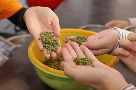 【B型支援事業所カイコウ】京都素材にこだわり、山椒と塩を使用したお酒にもあう塩山椒ケーキ「KOIKA22」［ 京都 スイーツ パウンド ケーキ 焼菓子 おいしい 人気 おすすめ お取り寄せ お菓子 洋菓子 ］ 