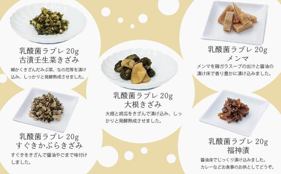 【高島屋選定品】京つけもの西利 乳酸菌ラブレ20g（20日間セット）10種各2個/計20個