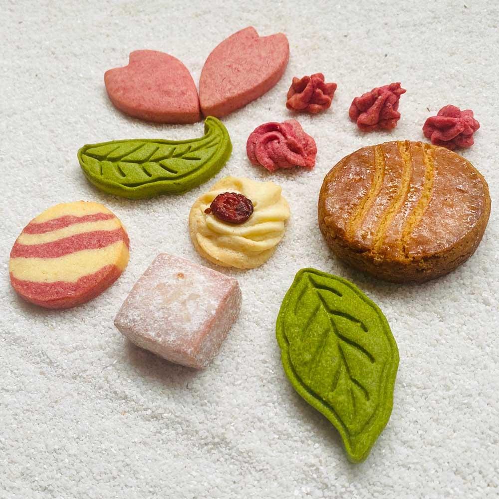 【京都チーズケーキ博物館】【淡紅】パルミジャーノ・レッジャーノのクッキー缶［ 京都 スイーツ 焼菓子 おいしい 人気 おすすめ お取り寄せ お菓子 洋菓子 ］ 