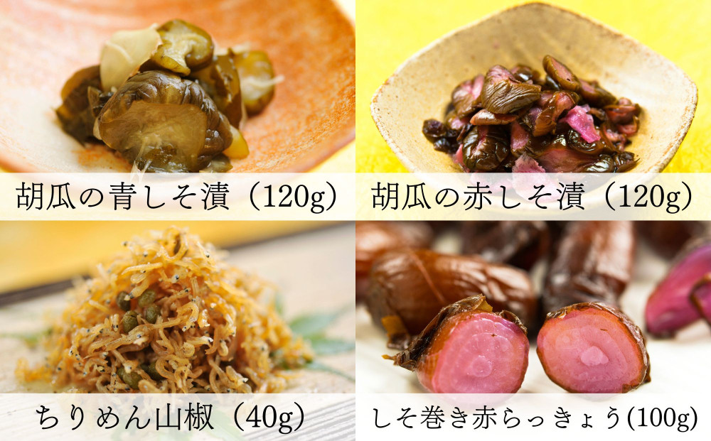 【辻しば漬本舗】大原のしば漬・京漬物・ちりめん山椒詰合せ（10種） [ 京都 大原 食べ比べ 自社栽培 老舗 赤しそ 壬生菜 すぐき きゅうり ちりめん らっきょう 沢庵 ふりかけ 人気 おすすめ お取り寄せ 通販 送料無料 ふるさと納税 ]