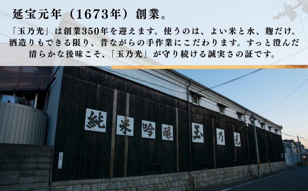《美酒コンクール金賞》【玉乃光酒造】純米吟醸 青まねきつね 720ml｜京都 老舗 日本酒 人気