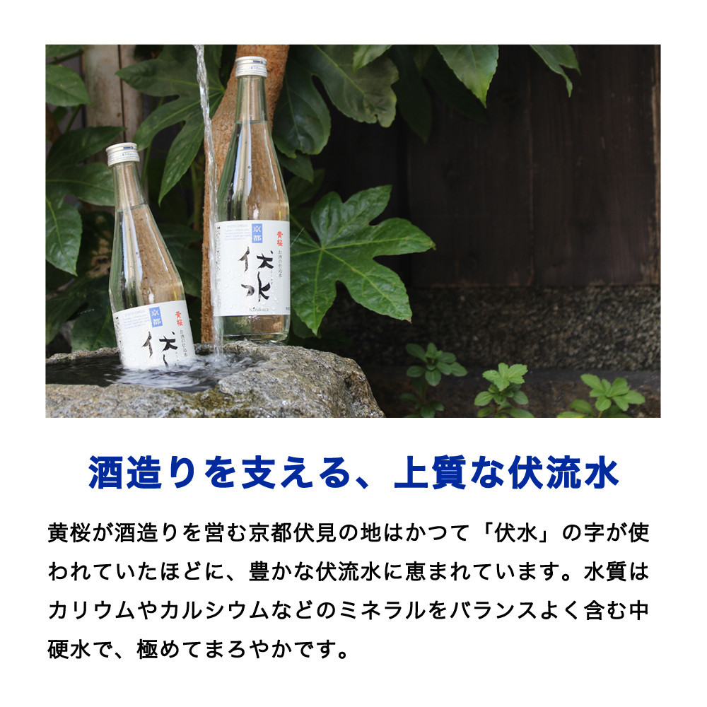 【黄桜】お酒の仕込み水「伏水」瓶 (500ml×12本入)［ 京都 キザクラ 飲料水 天然水 名水 水割り用 人気 おすすめ お取り寄せ 通販 送料無料 ふるさと納税 ］