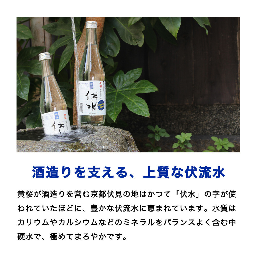 【黄桜】伏水スパークリング (500ml×12本入) ［ 京都 キザクラ 炭酸水 天然水 名水 ソーダ割 ハイボール 酎ハイ 人気 おすすめ お取り寄せ 通販 送料無料 ふるさと納税 ］