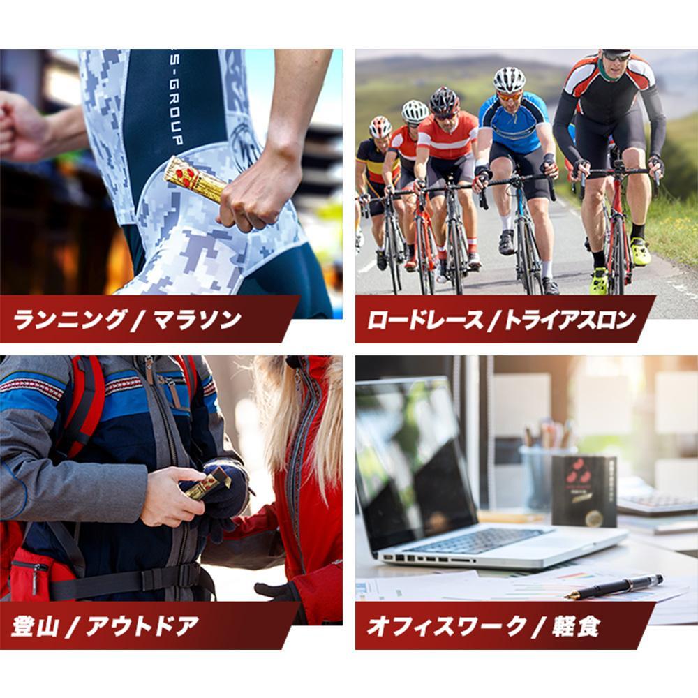 ＜定期便・年4回＞ 【鼓月】エネルギー補給羊羹 anpower 4箱（5本入×4） ［ 京都 老舗 和菓子 千寿せんべい 有名店 スポーツ羊羹 人気 おすすめ お菓子 スイーツ 補給食 お取り寄せ 通販 ギフト プレゼント 贈答 ふるさと納税 ］