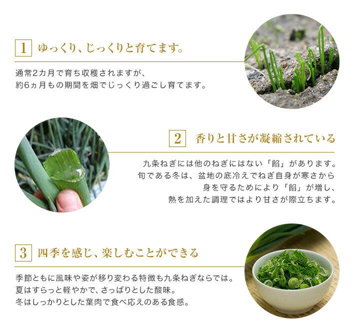 【こと京都】九条ねぎカット食べ比べセット（鍋仕様）