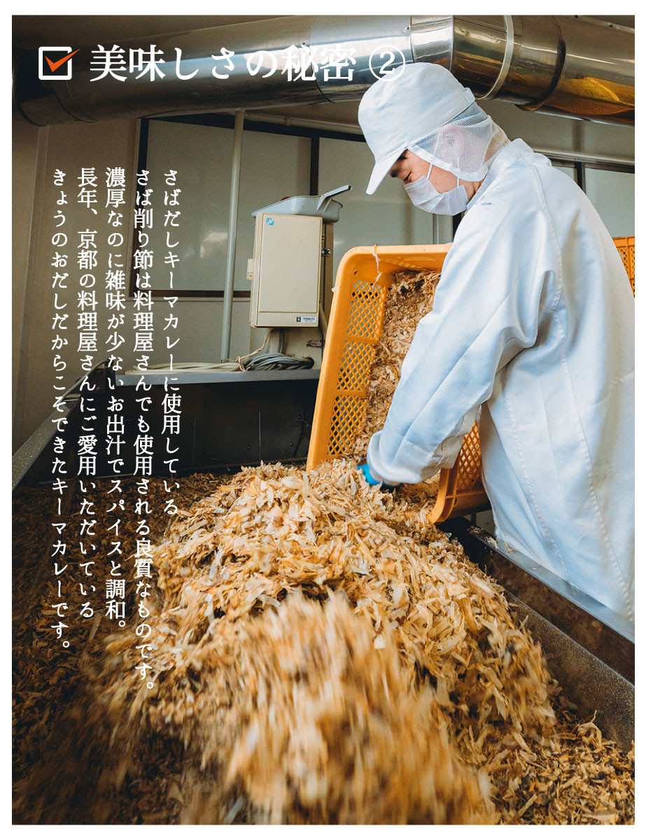 【きょうのおだし】さばだしキーマカレー 2食入［ 京都 削り節屋  おだしのプロ スパイスカレー 人気 おすすめ 和風カレー おいしい ギフト プレゼント お取り寄せ 通販 送料無料 ふるさと納税 ］