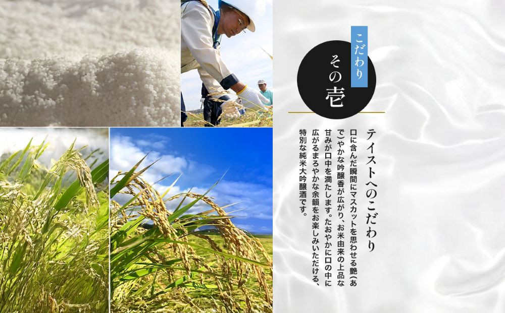 【月桂冠】日本酒「鳳麟純米大吟醸」300ｍL×5本｜京都 日本酒 人気セット おすすめ[ 月桂冠 プレミアム 日本酒 純米大吟醸 最高級 人気 おすすめ お酒 晩酌 ご自宅用 ギフト プレゼント 贈答 お取り寄せ 通販 送料無料 ふるさと納税 ］