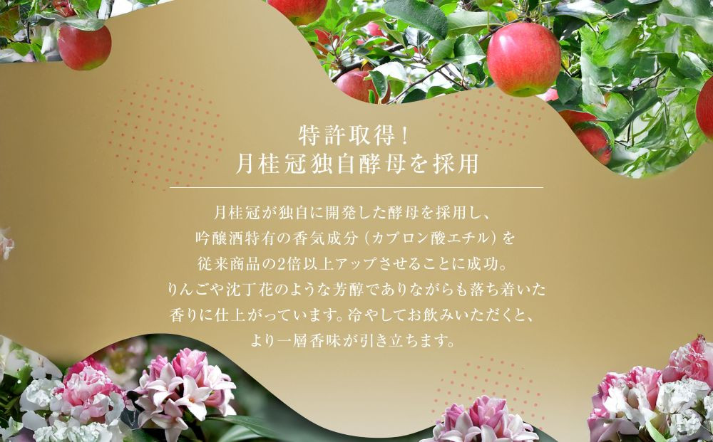 【月桂冠】日本酒 大吟醸生詰 300ｍL×5本｜京都 日本酒 人気セット おすすめ [ 自社酵母使用 フルーティ りんごのような吟醸香 人気 おすすめ お酒 晩酌 日常使い ご自宅用 ギフト プレゼント お取り寄せ 通販 送料無料 ふるさと納税］