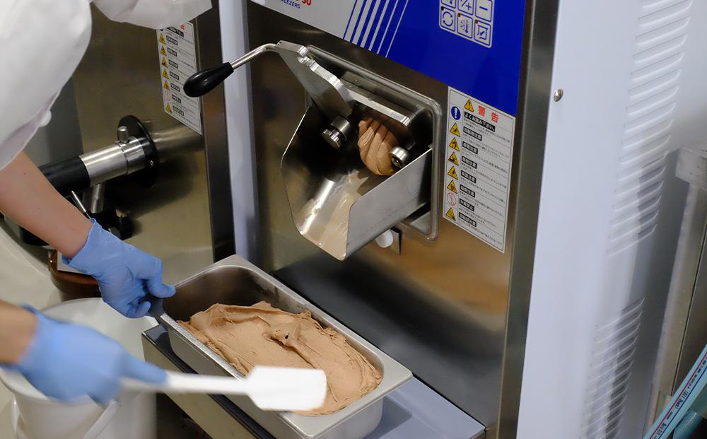 【友和堂】定番と季節のジェラート10個セット｜京都 スイーツ ジェラート 人気［ 京都 スイーツ 人気 おすすめ アイス お取り寄せ 通販 送料無料 ふるさと納税 ］