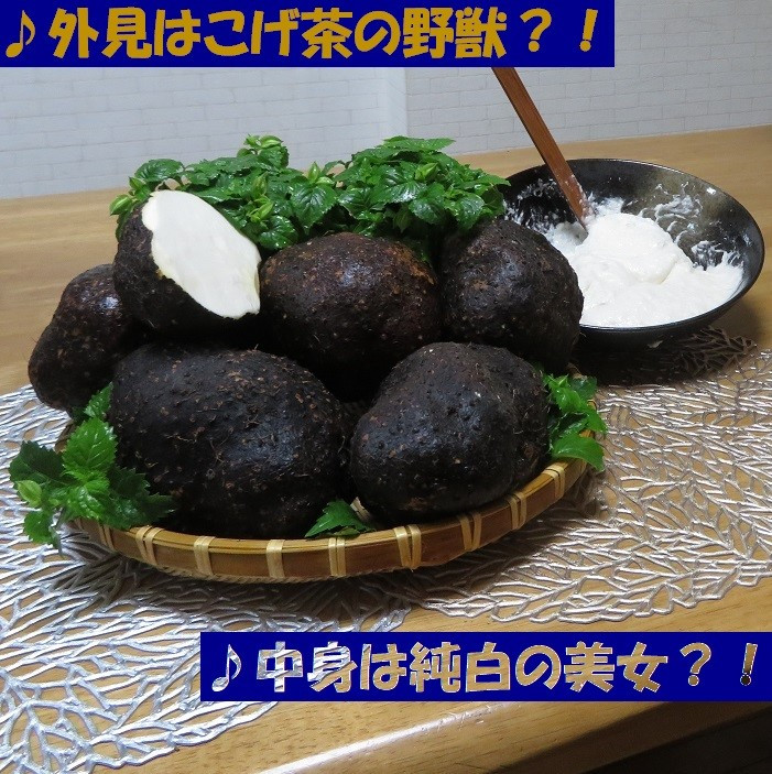 【芋家なか吉】スペシャル丹波山の芋☆二刀流☆セット (11月収穫プレミアム特選品つくね芋)｜京都 人気 やまいも［ 京都 山の芋専門店 職人 とろろ 芋 いも イモ 野菜 3kg 人気 おすすめ お取り寄せ 通販 送料無料 ふるさと納税 ］