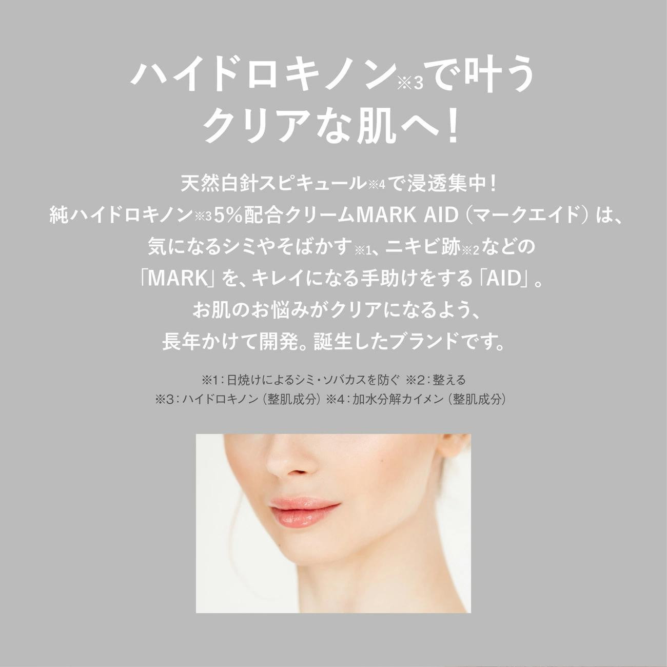 【MARK AID】ハイドスピキュールクリーム 2本セット【ハイドロキノン5％配合針クリーム】［ 京都 美容 ブランド しみ そばかす ケアクリーム 寝ている間にクリアな美肌へ 人気 おすすめ スキンケア用品 基礎化粧品 化粧品 美容クリーム お取り寄せ 通販 送料無料 ふるさと納税 ］