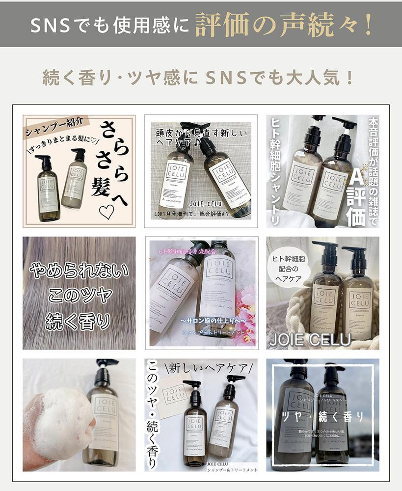 【ジョワセル】モイストトリートメント＜詰め替え用パウチ＞［ 京都 美容 ブランド 詰め替え まとまる うるおう 美髪成分 人気 おすすめ ヘアケア エイジングケア お取り寄せ 通販 送料無料 ふるさと納税 ］