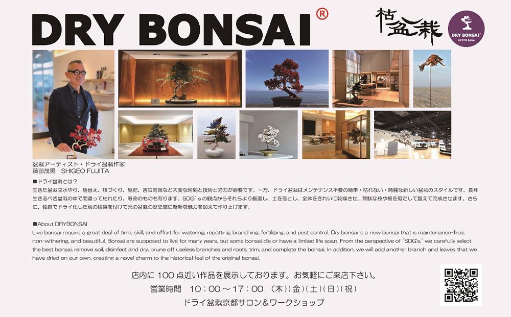 【ドライ盆栽】ギフト券 3,000円分（ワークショップ・作品購入に使用可能）