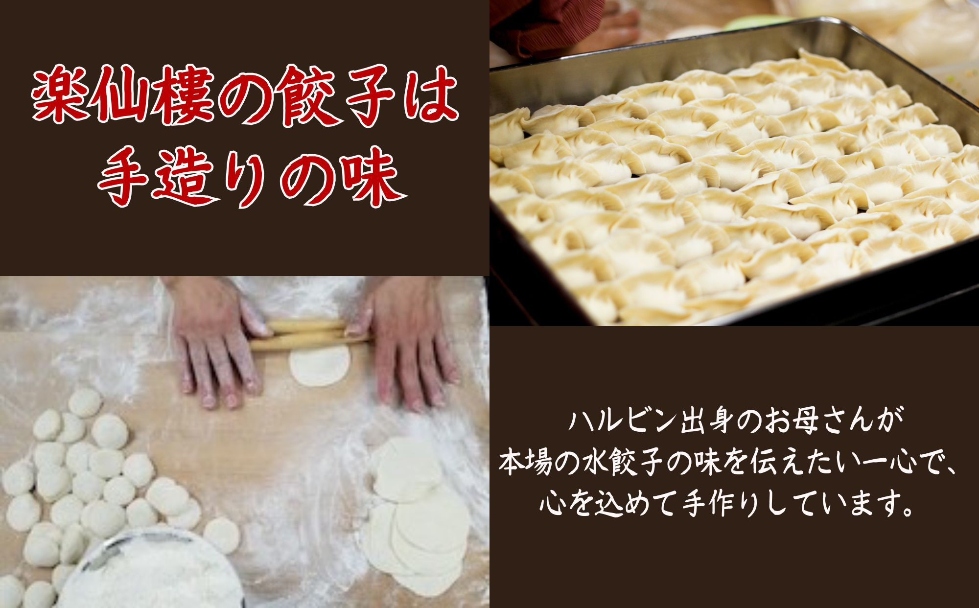 【楽仙樓】セロリ入り水餃子(8個入り) 2袋 [ 京都 本格中華 中華料理 手作り 名物 人気 おすすめ 点心 お惣菜 ニンニク不使用 美味しい グルメ ギフト プレゼント お取り寄せ 通販 送料無料 ふるさと納税 ]