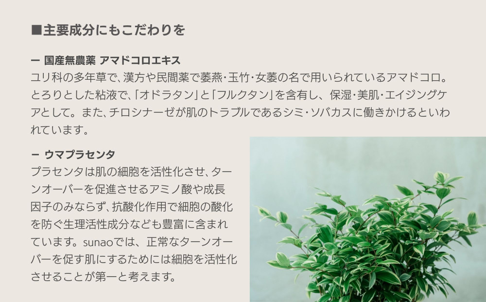 【sunao】京の拘りスキンケア クロウォッシュ 120g｜京都 自然素材 クレンジング スキンケア用品 洗顔 人気 ［ うるおい補給 W洗顔不要 ニキビ予防 人気 おすすめ 天然由来原料使用 柔らか素肌 お取り寄せ 通販 送料無料 ふるさと納税 ］