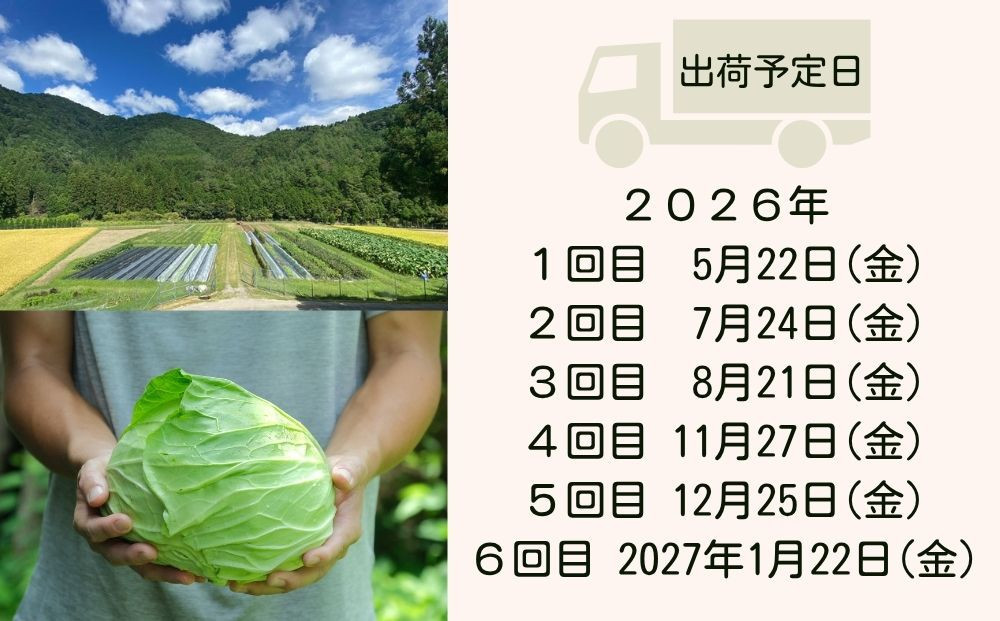 ＜定期便6回＞【よしだのはたけ】旬の野菜8品 やさいBOX｜京都 京北 農家直送 野菜 人気セット [ 旬のお野菜 新鮮 おまかせセット 美味しい 産地直送 野菜詰め合わせ 野菜セット 野菜定期便 人気 おすすめ ギフト プレゼント お取り寄せ 通販 送料無料 ふるさと納税 ]