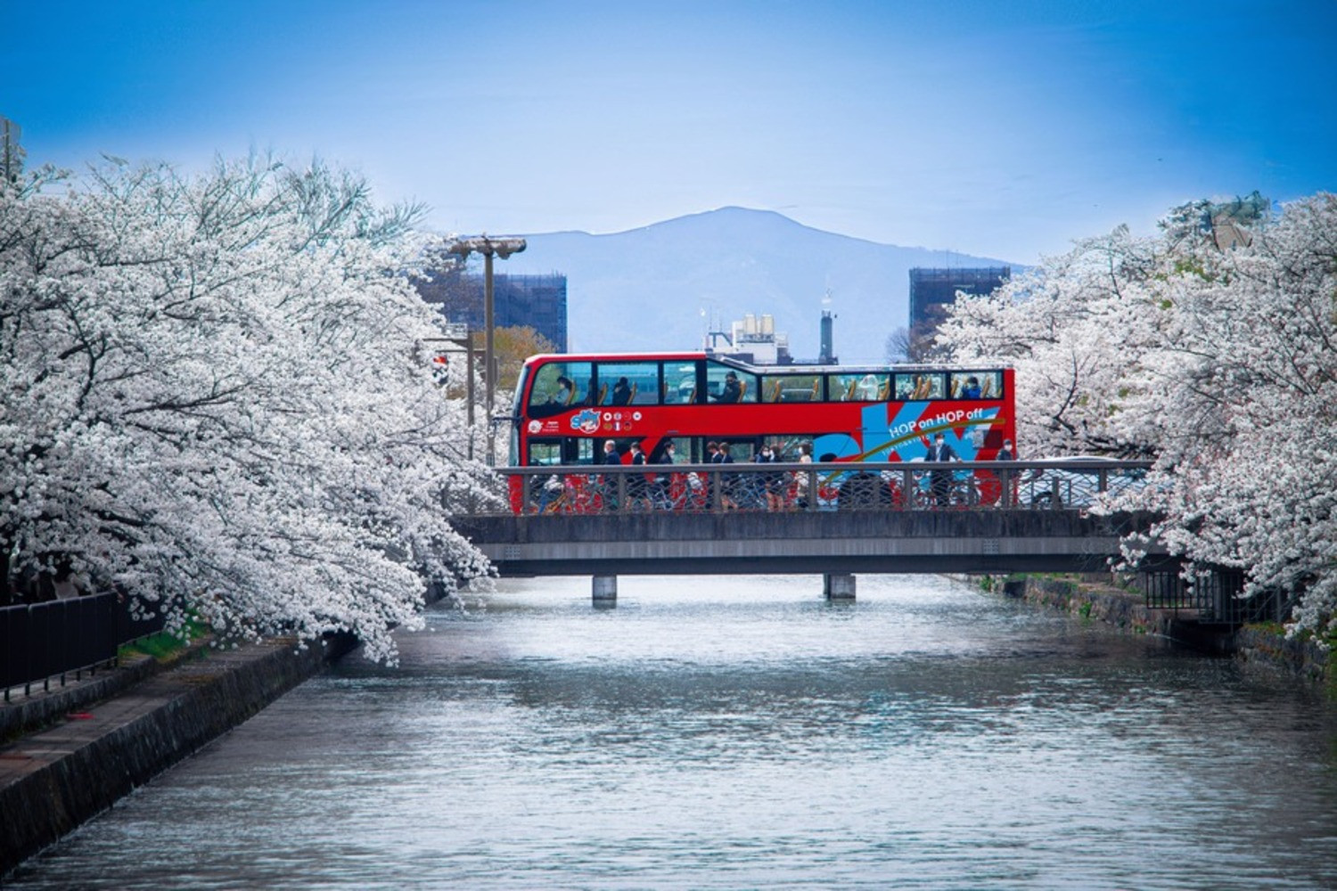 「乗り降り自由！京都の主要な観光地を巡る周遊パス」スカイホップバス（Sky Hop Bus）大人2日券