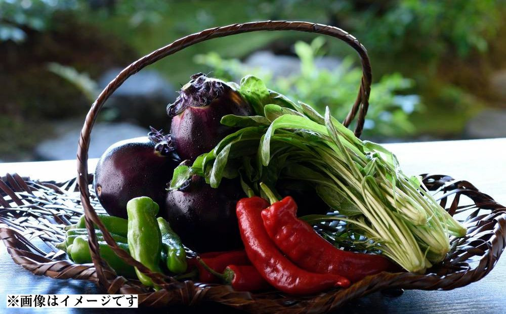 【下鴨茶寮本店】利用券15,000円分｜京都 老舗料亭 人気店［ 京都 老舗 料亭 ランチ・ディナー共通 割引券 人気 おすすめ グルメ 京料理 京懐石 送料無料 ふるさと納税 ］