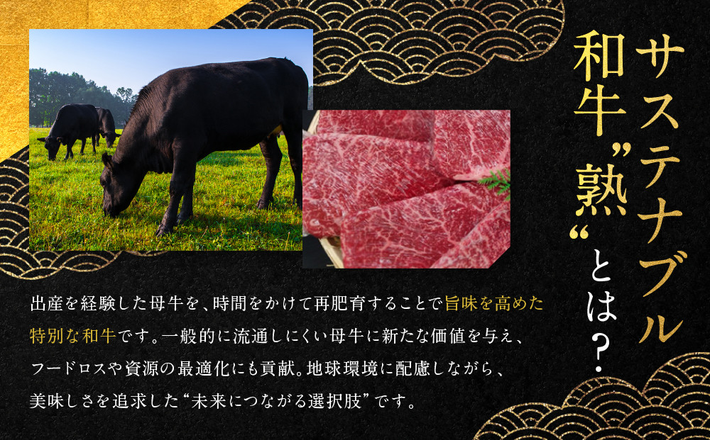 【銀閣寺大西】国産サステナブル和牛「熟」100％ 煮込みハンバーグ（デミグラスソース）2個セット［ 京都 老舗精肉店 有名店 至極の煮込みハンバーグ 贅沢 人気 おすすめ グルメ 肉 牛肉 和牛 国産牛 ご褒美 ギフト プレゼント 贈答 お取り寄せ 通販 送料無料 ふるさと納税 ］