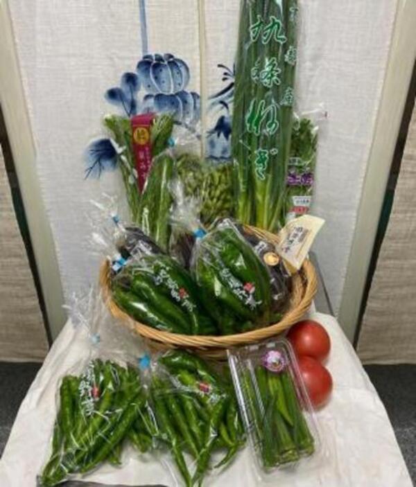 【京野菜・果物 美方屋】創業70年 美方屋厳選！季節の京野菜お任せセット