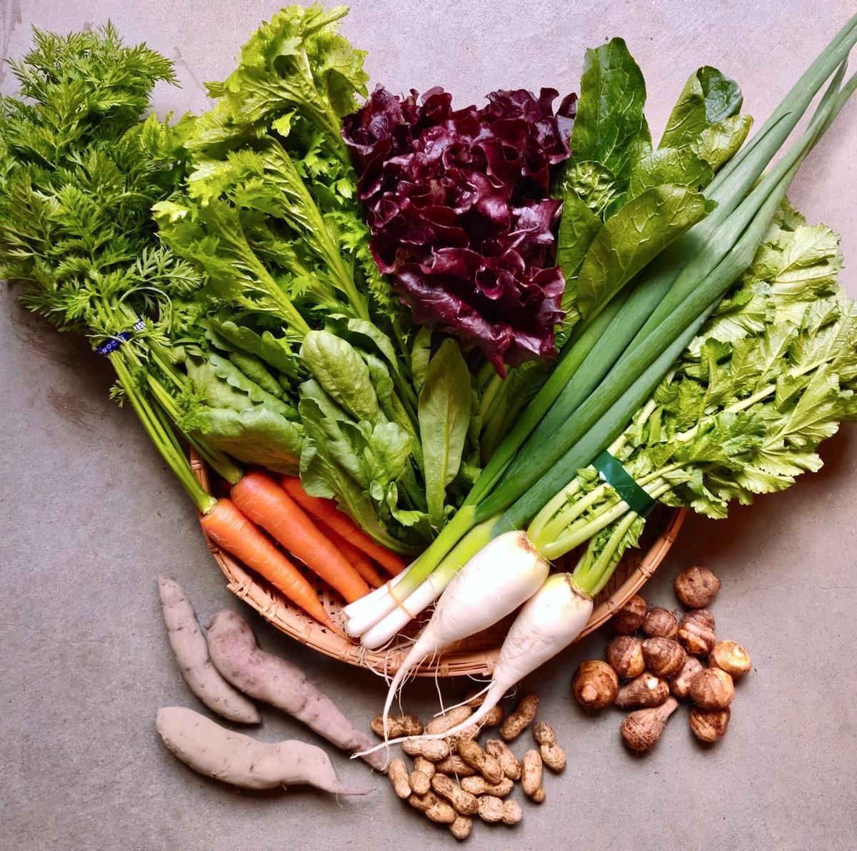 ◆全12回定期便◆【つくだ農園】《有機JAS認証 有機野菜10品入り》京都の棚田大原で心を込めて大切に露地栽培された大地の恵みたっぷりの有機野菜!［ 有機野菜 京都 野菜 有機栽培 定期便 セット 季節の野菜 おまかせ 詰め合わせ 産地直送 新鮮 ミシュラン 錦市場 人気 送料無料 おすすめ ふるさと納税 ］