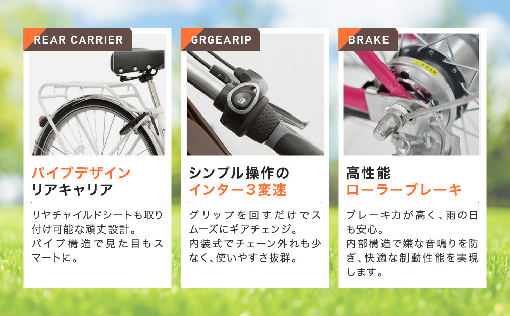 《12月中頃発送》完成品でお届け！ 電動自転車 20インチ 11.1Ah ペット乗せ 自転車 ペットポーター［京都 自転車 メーカー 組立不要 すぐ乗れる ペットとお出かけ 電動自転車 おしゃれ 安全基準BAA付き LEDライト 人気 おすすめ 自転車 通勤 通学 スポーツ アウトドア ツーリング ブランド 丸石サイクル 自転車 送料無料 ふるさと納税 ］PET-ASPET203Z-FB【マットブラック(K65T)】