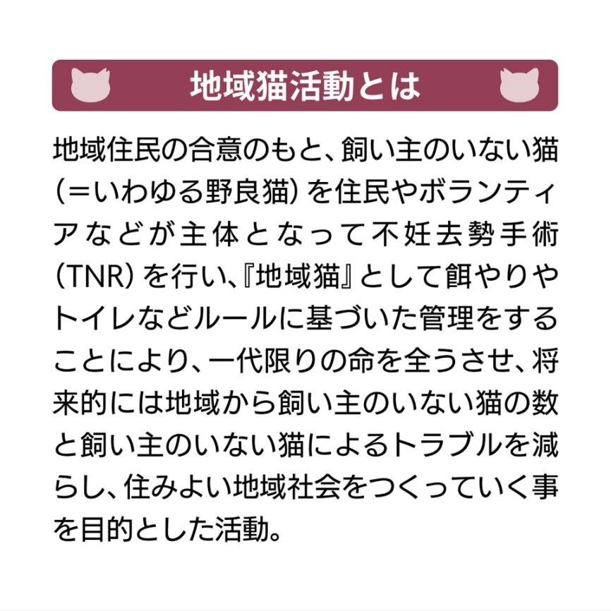 【三陽商事】地域猫活動　綿三幅両面ふろしき（キャットパズル／ブラック×コスモス色）