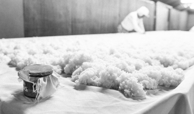 《美酒コンクール金賞》【玉乃光酒造】純米吟醸 青まねきつね・米焼酎まねきつね セット（化粧箱入り）［ 京都 伏見 日本酒 焼酎 お酒 飲み比べ 2本 人気 おすすめ お取り寄せ 通販 送料無料 ふるさと納税 ］ 