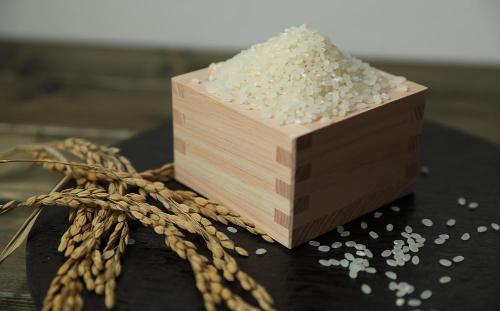 【京都岩倉坂原米作りプロジェクト】京都さかばら 角質ケアハンドクリーム(60g×1本)｜美容 コスメ 人気［ 京都 人気 おすすめ 米 コメ ギフト プレゼント 贈答 お取り寄せ 通販 送料無料 ふるさと納税 ］