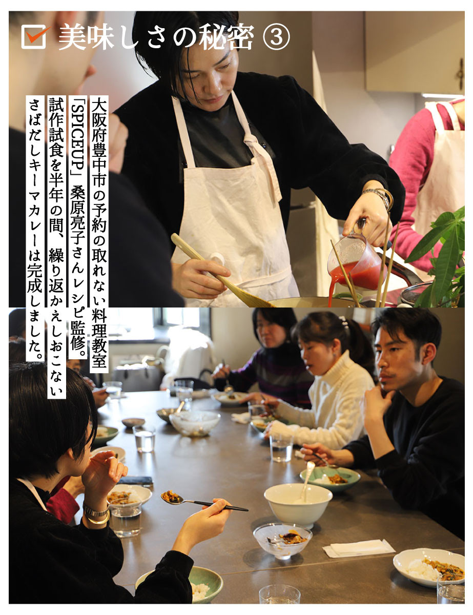 【きょうのおだし】さばだしキーマカレー 10食入［ 京都 削り節屋  おだしのプロ スパイスカレー 人気 おすすめ 和風カレー おいしい ギフト プレゼント お取り寄せ 通販 送料無料 ふるさと納税 ］