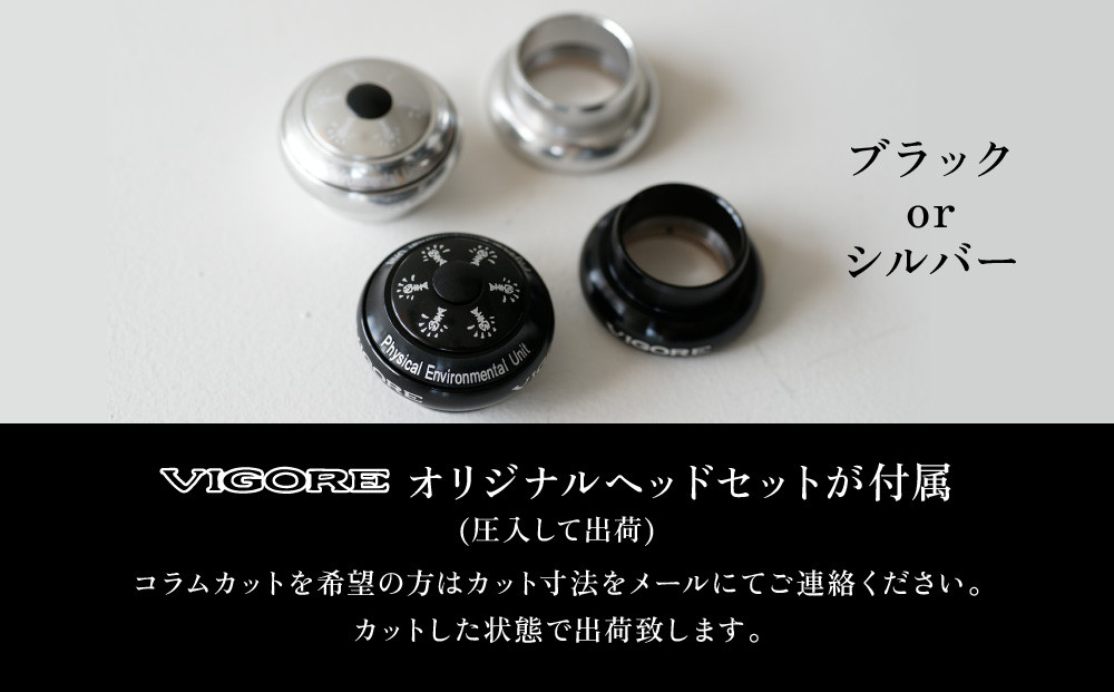 【VIGORE】ラグ付きハンドメイド ロードバイク「70next」(フレーム＆フォーク）［ 京都 ロードバイク 自転車 ブランド 人気 おすすめ スポーツ アウトドア ツーリング ブランド メーカー 取り寄せ 通販 ふるさと納税 ］