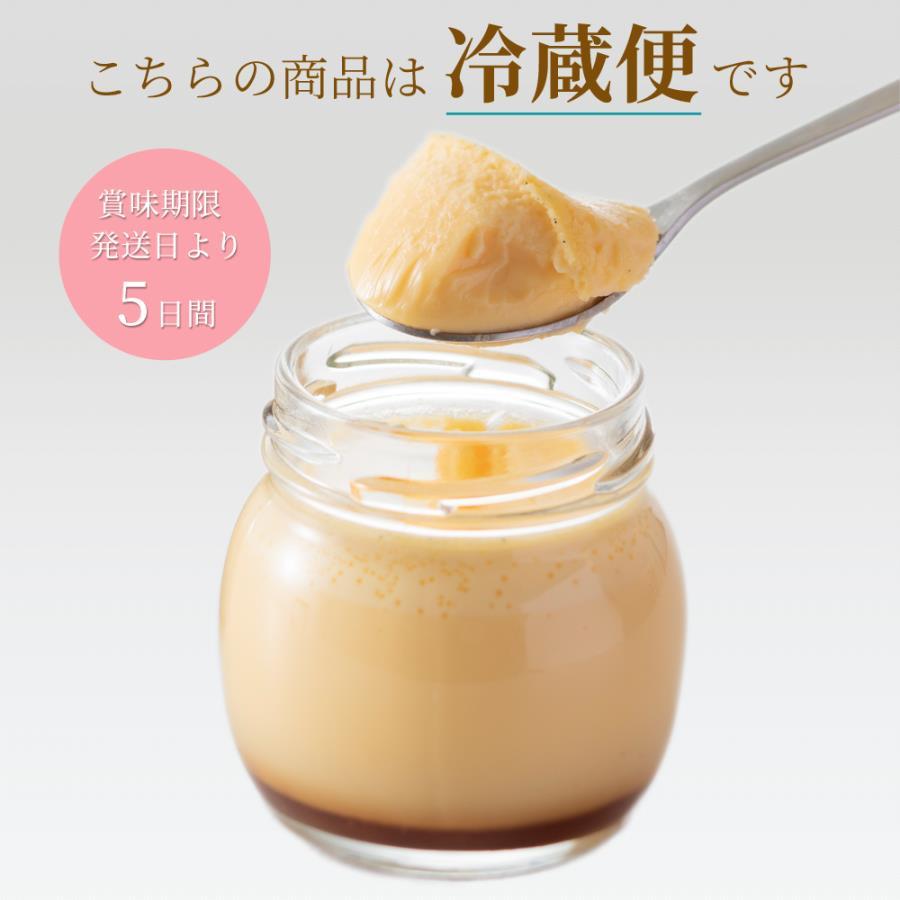 【ソラアオ】ぷりん詰め合わせセット（6個入り）| 京都 チーズケーキ専門店 人気セット［ 京都  とろ生プリン カスタードプリン スイーツ プリン 人気 おすすめ 洋菓子 お取り寄せ 通販 送料無料 ふるさと納税 ］