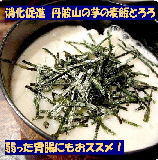 【芋家なか吉】丹波山の芋 わけあり 3キロ 11月収穫のとれたての新芋［ 京都 山の芋専門店 職人 とろろ 芋 いも イモ 野菜 3kg 不揃い 事業者応援品 応援 人気 おすすめ お取り寄せ 通販 送料無料 ふるさと納税 ］