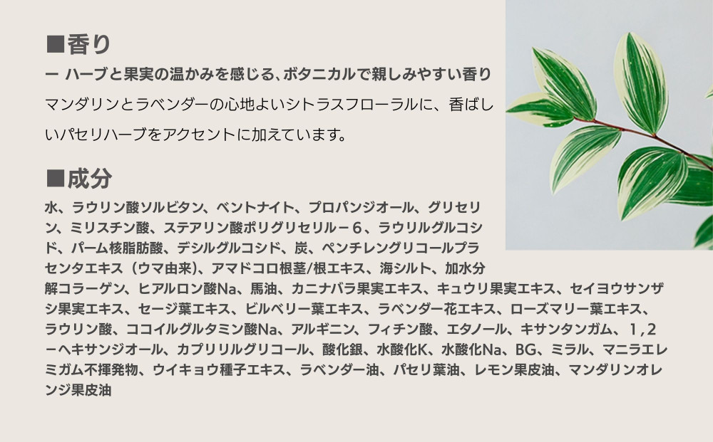 【sunao】京の拘りスキンケア クロウォッシュ 120g｜京都 自然素材 クレンジング スキンケア用品 洗顔 人気 ［ うるおい補給 W洗顔不要 ニキビ予防 人気 おすすめ 天然由来原料使用 柔らか素肌 お取り寄せ 通販 送料無料 ふるさと納税 ］