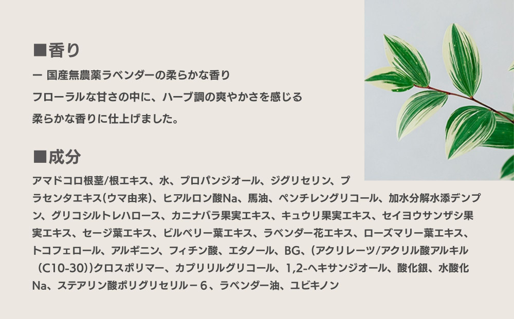 【sunao】京の拘りスキンケア リバースジェル 75g｜京都 自然素材 オールインワン スキンケア用品 人気 ［ うるおい補給 高濃度美容液 人気 おすすめ 保湿 洗顔後のお手入れを全てこなす お取り寄せ 通販 送料無料 ふるさと納税 ］